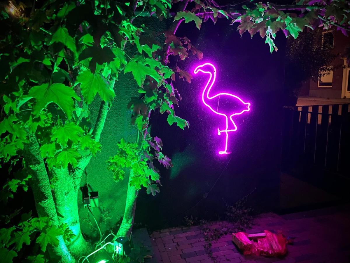 Flamingo Studio'S Zeeland Schoondijke Eksteriør billede