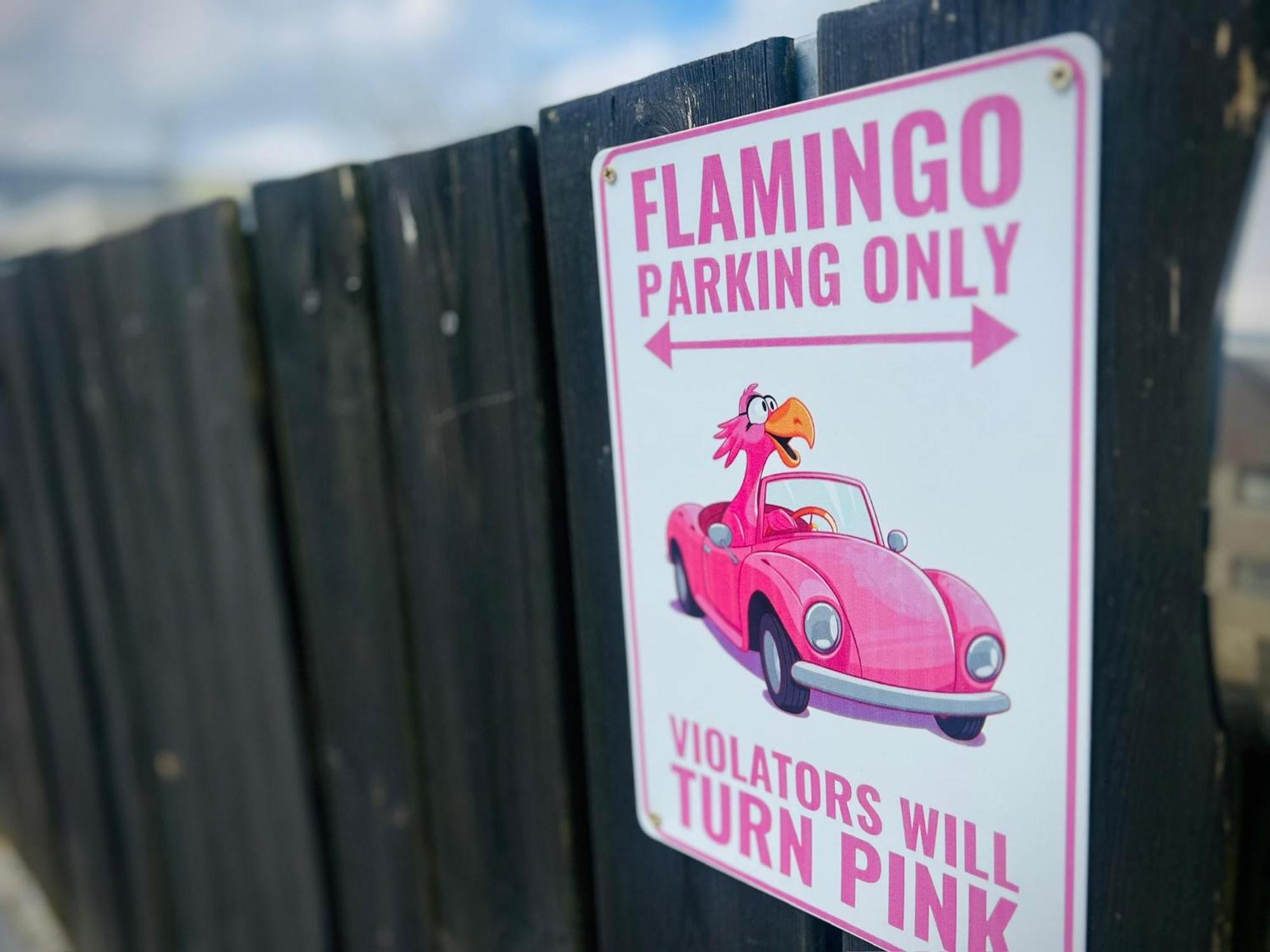 Flamingo Studio'S Zeeland Schoondijke Eksteriør billede