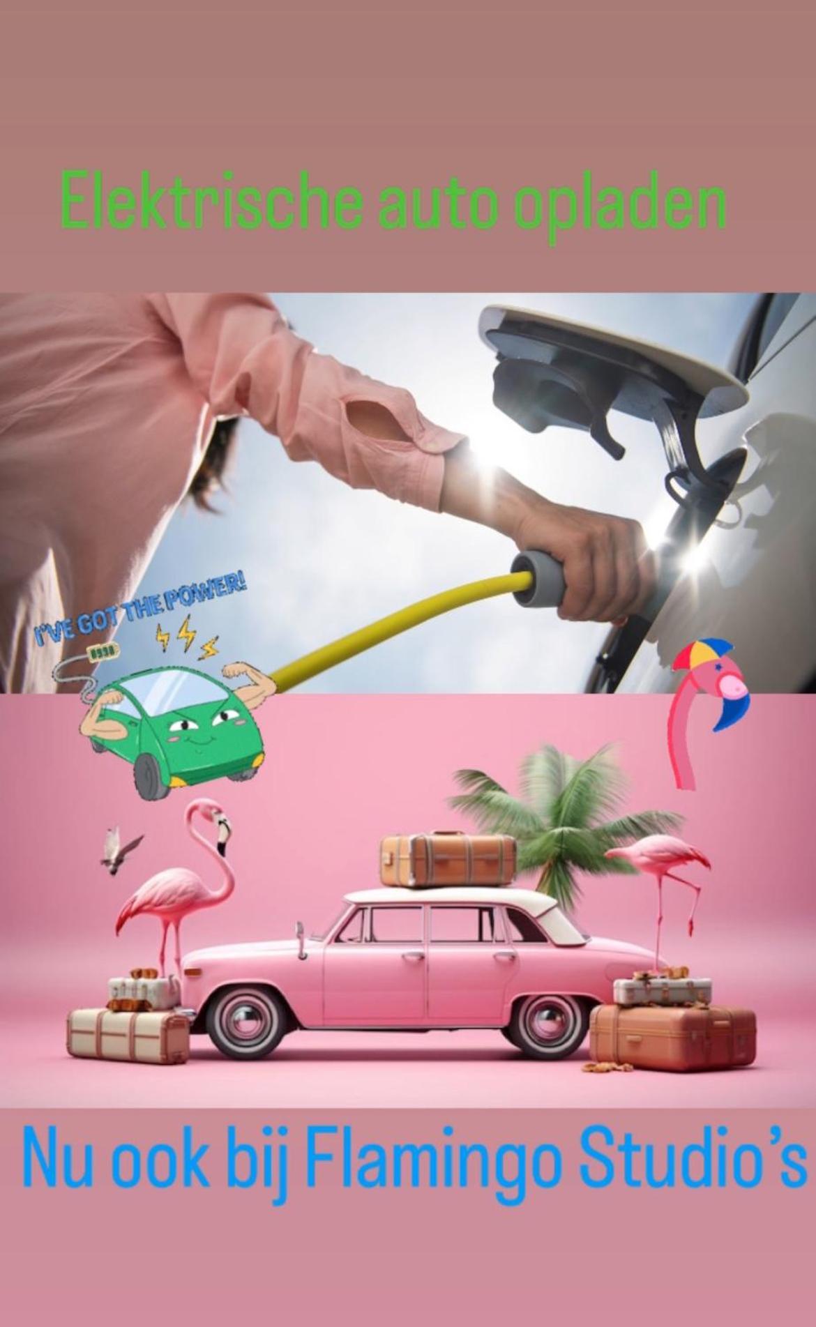 Flamingo Studio'S Zeeland Schoondijke Eksteriør billede